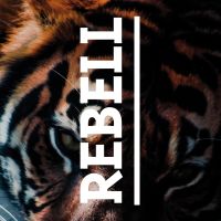 The Tiger Within - VISUAL STATEMENTS