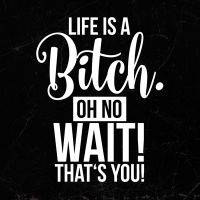 Life is a bitch - wordporn