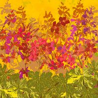 A Day in the Sun - Lotti Brown