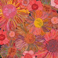 Daisy Dance - Lotti Brown