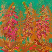 Foxgloves - Lotti Brown