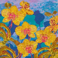 Orchid Extravaganza - Lotti Brown