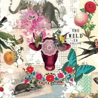 Mandala Kuh - Libby McMullin