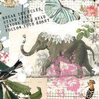 Elefantentraum - Libby McMullin