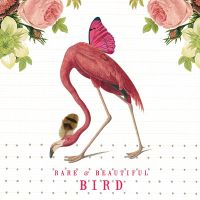 Pink Flamingo Dream - Libby McMullin