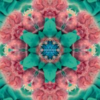 Janetonic - Jello - JANETONIC