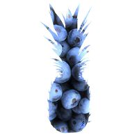 Ananas Blues - Jessica Broton