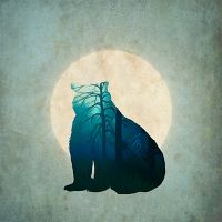 Blue Bear - Jessica Broton