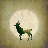 Green Deer - Jessica Broton