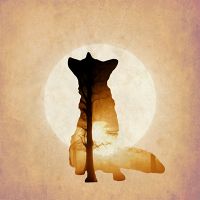 Orange Fox - Jessica Broton