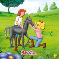 Pferd Felix - Bibi & Tina