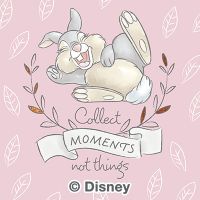 Collect Moments not things - Disney 