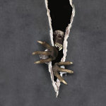 Monster inside! - DeinDesign