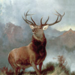 Monarch of the Glen - Bridgeman Art