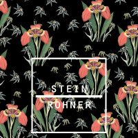 Tigerlily - Steinrohner