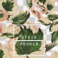 Leaf ohne Hintergrund - Steinrohner