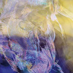 Goldfish Pattern #3 - Hien Le