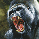 Gorilla - Wild and Free by Timo Wuerz