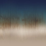 Wooden Blue - Hien Le