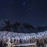 Ciel étoilé sur la forêt d'hiver - DeinDesign