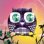 Nachteule im Morgenglühen - Mariequita