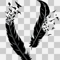 Frei wie ein Vogel ohne Hintergrund - DeinDesign