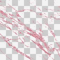 Glitter rose look transparent - UtART