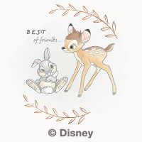 Bambi and friends - Disney 