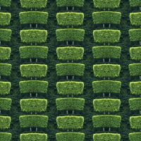 Baumreihe M28 - Reality Pattern - Reality Pattern