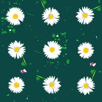 Gänseblümchen M45 - Reality Pattern - Reality Pattern