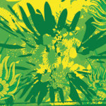 Green Dream - Teemohr