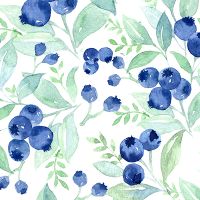 blueberry  - UtART
