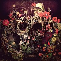 flower death - Ali Gulec
