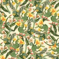 Kaktus Party - Ali Gulec