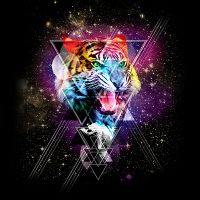 galaxy space tiger - Ali Gulec