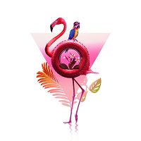 Flamingo friends - Ali Gulec