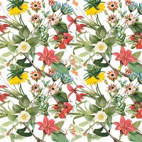 flower meadow - Ali Gulec