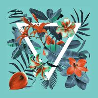 Karibik feeling - Ali Gulec