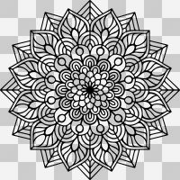 Indian Mandala schwarz ohne Hintergrund - DeinDesign