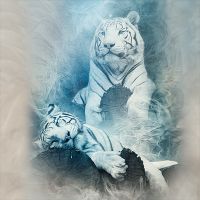 Sleep and Dream - Greenfeed