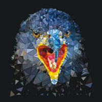 Corbeau cristal - Ancello