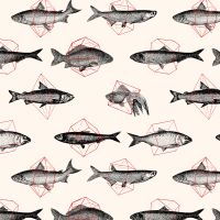 Fishes in Geometrics - Florent Bodart