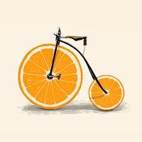 Vitamin - Florent Bodart