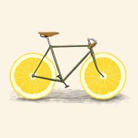 Zest - Florent Bodart