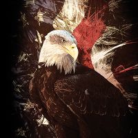 Weißkopf - Greenfeed