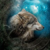 Wolvesandring - Greenfeed