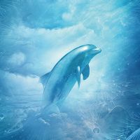 Delphina - Greenfeed