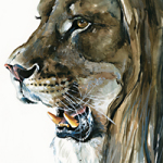 Löwe - Wild and Free by Timo Wuerz