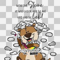 Steine im Weg ohne Hintergrund - Pummeleinhorn