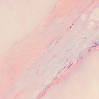 Delicate pink marbòe - cafelab - Emanuela Carratoni